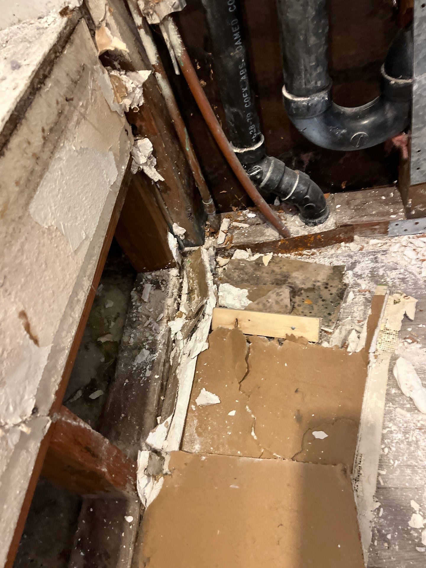 Mold Remediation & Rebuild in Laguna Niguel by One Stop Source