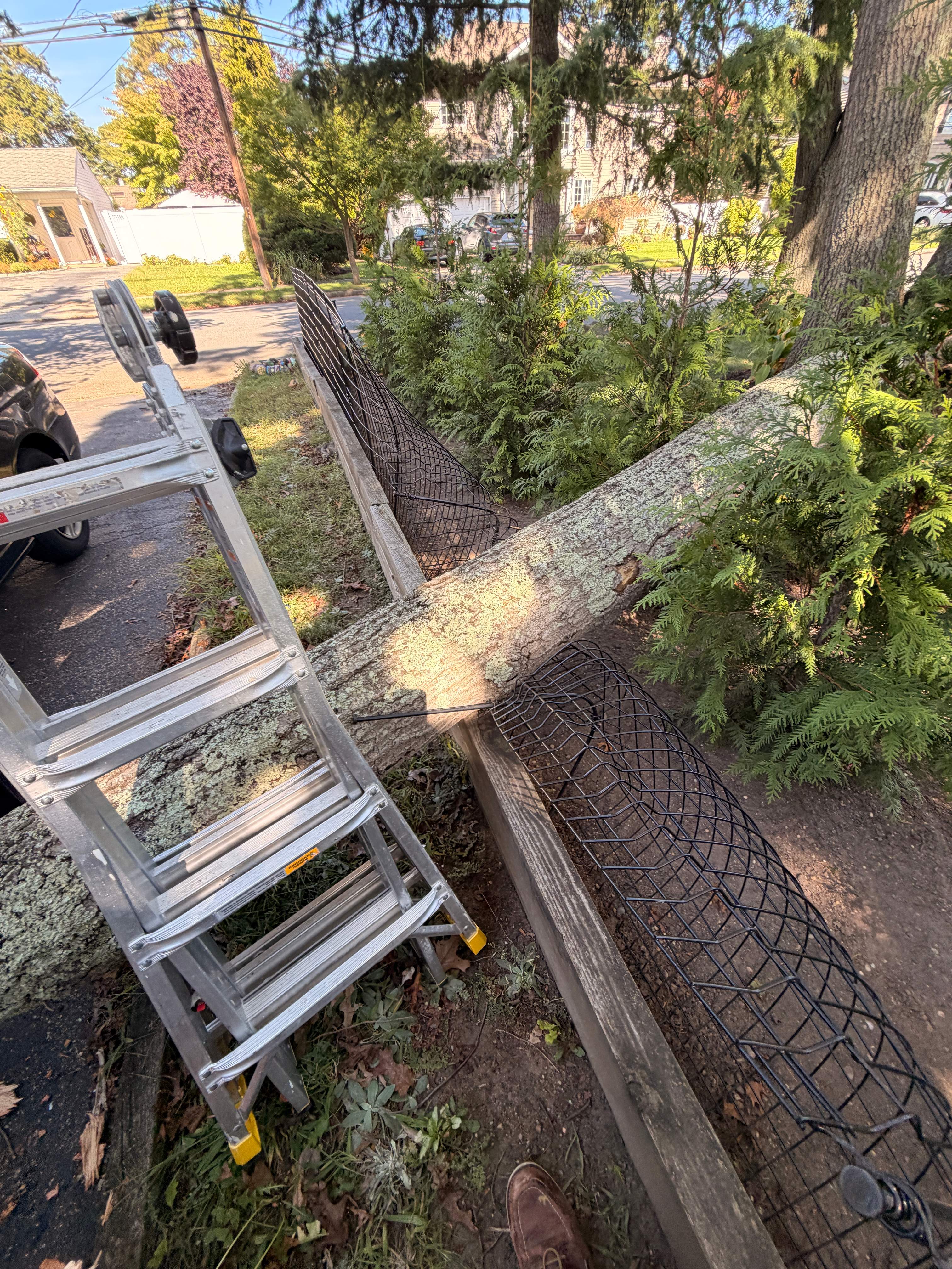 Roof Tarping by Newhouse Restoration