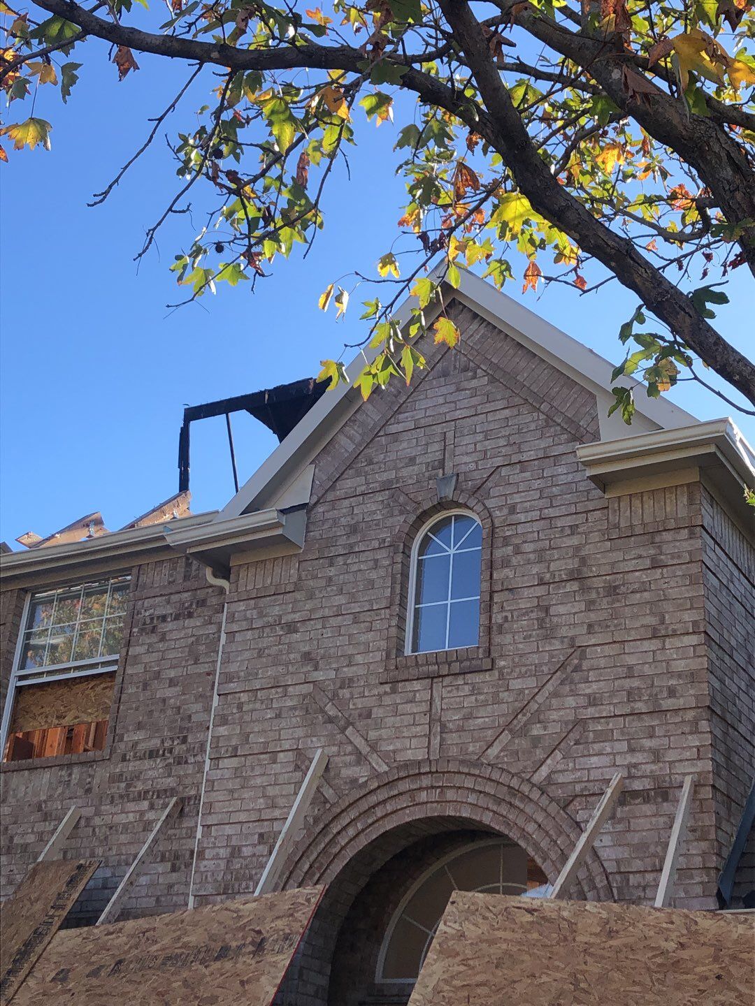 Fire Restoration project by Springtree Restoration 