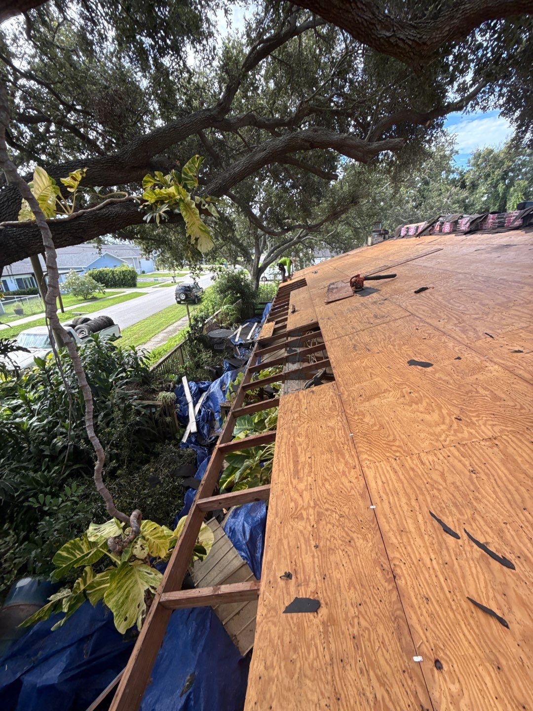Project in Pinellas Park 33781 by Mitchell Roofing Company LLC 