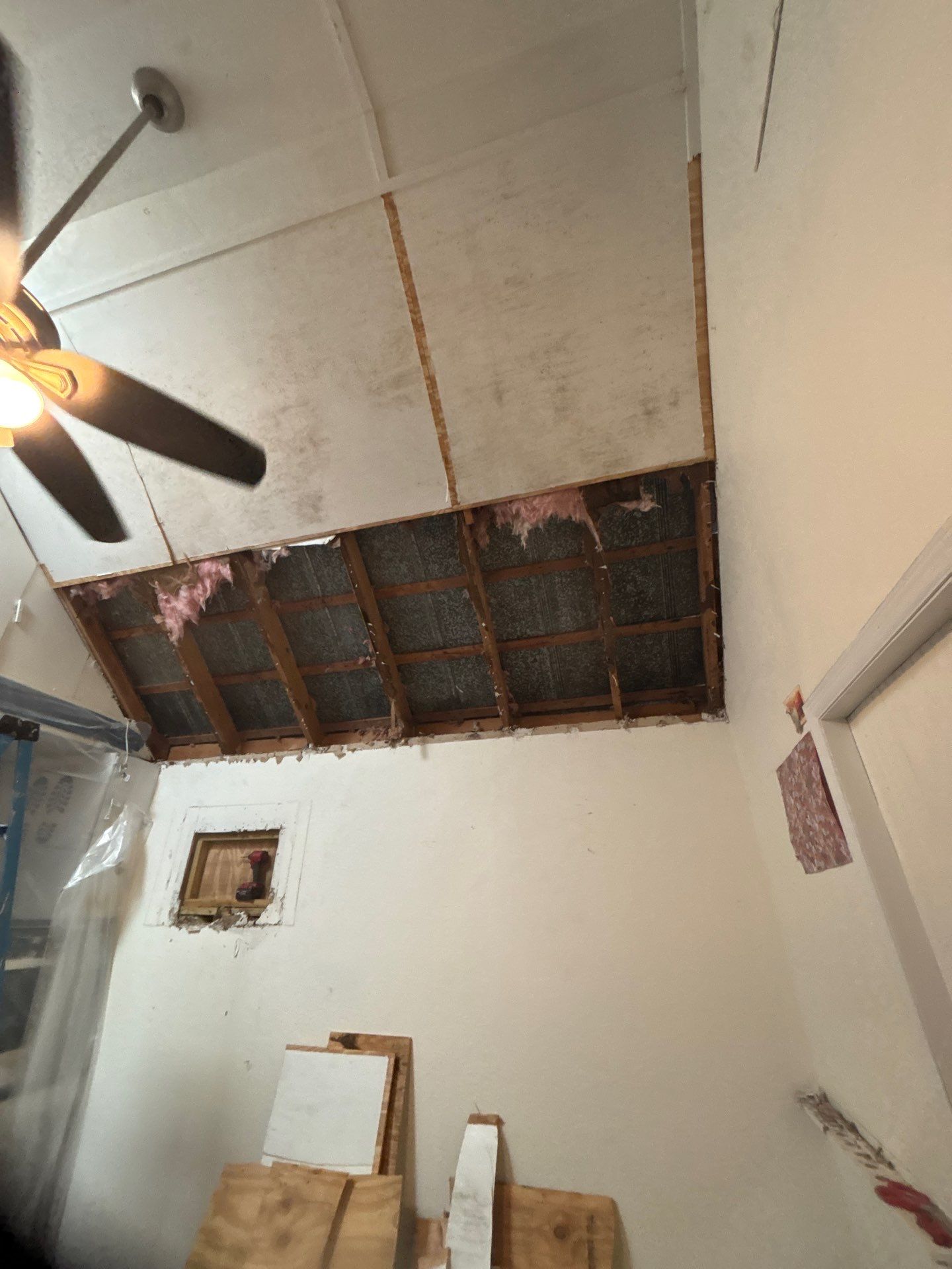 Mold Inspection & Remediation In Bradenton, FL by Ampm Restoration Services