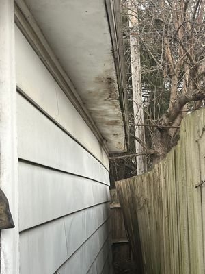 Project in Milwaukee