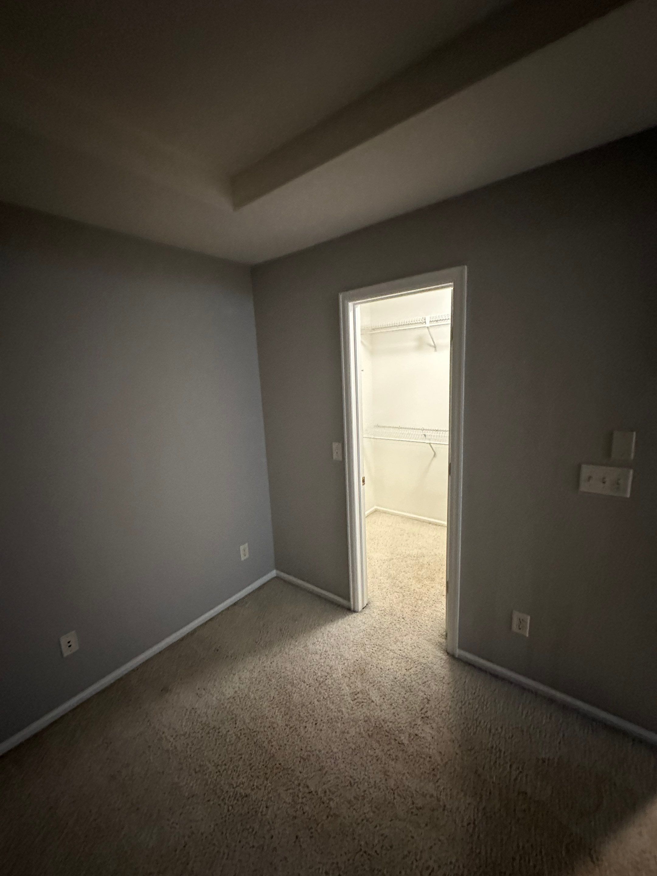 Water Damage in Highlands Ranch by Alpha Restoration 