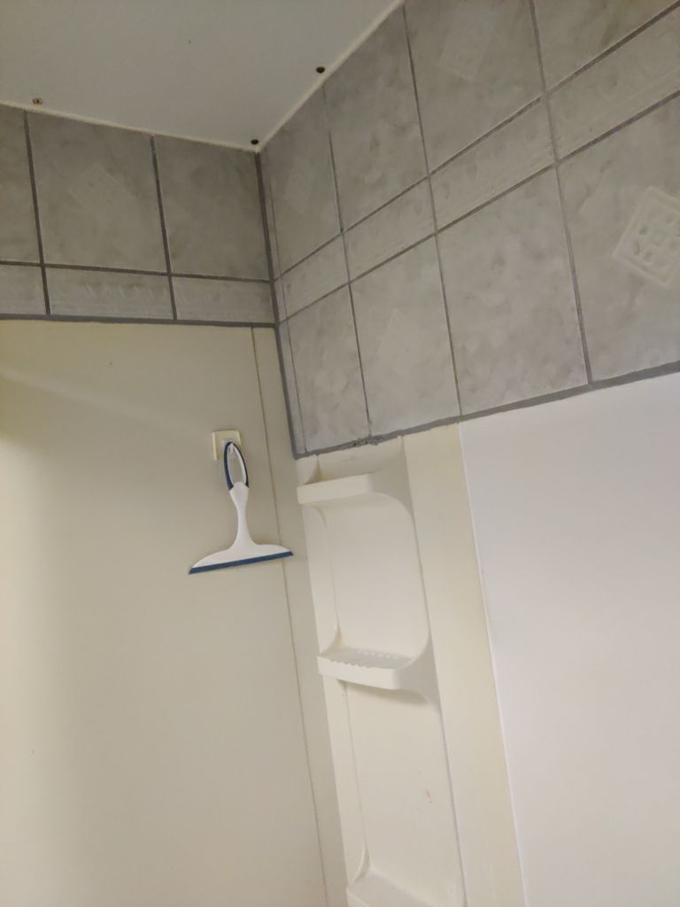 Mold Remediation in Basement by Accountable Home Services