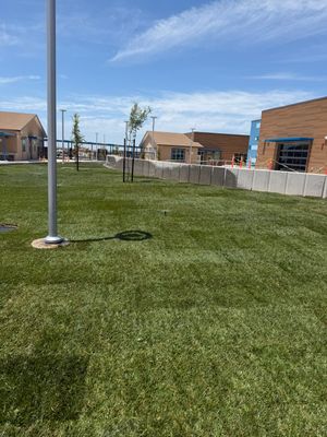 Project in Rancho Cordova