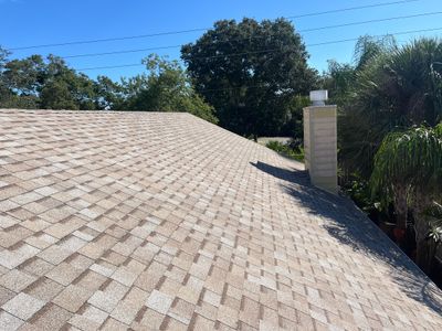 Shingle -> Shingle