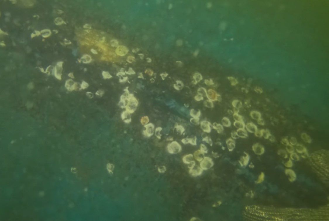 Project in Fort Myers Beach by Florida Hull Cleaning 