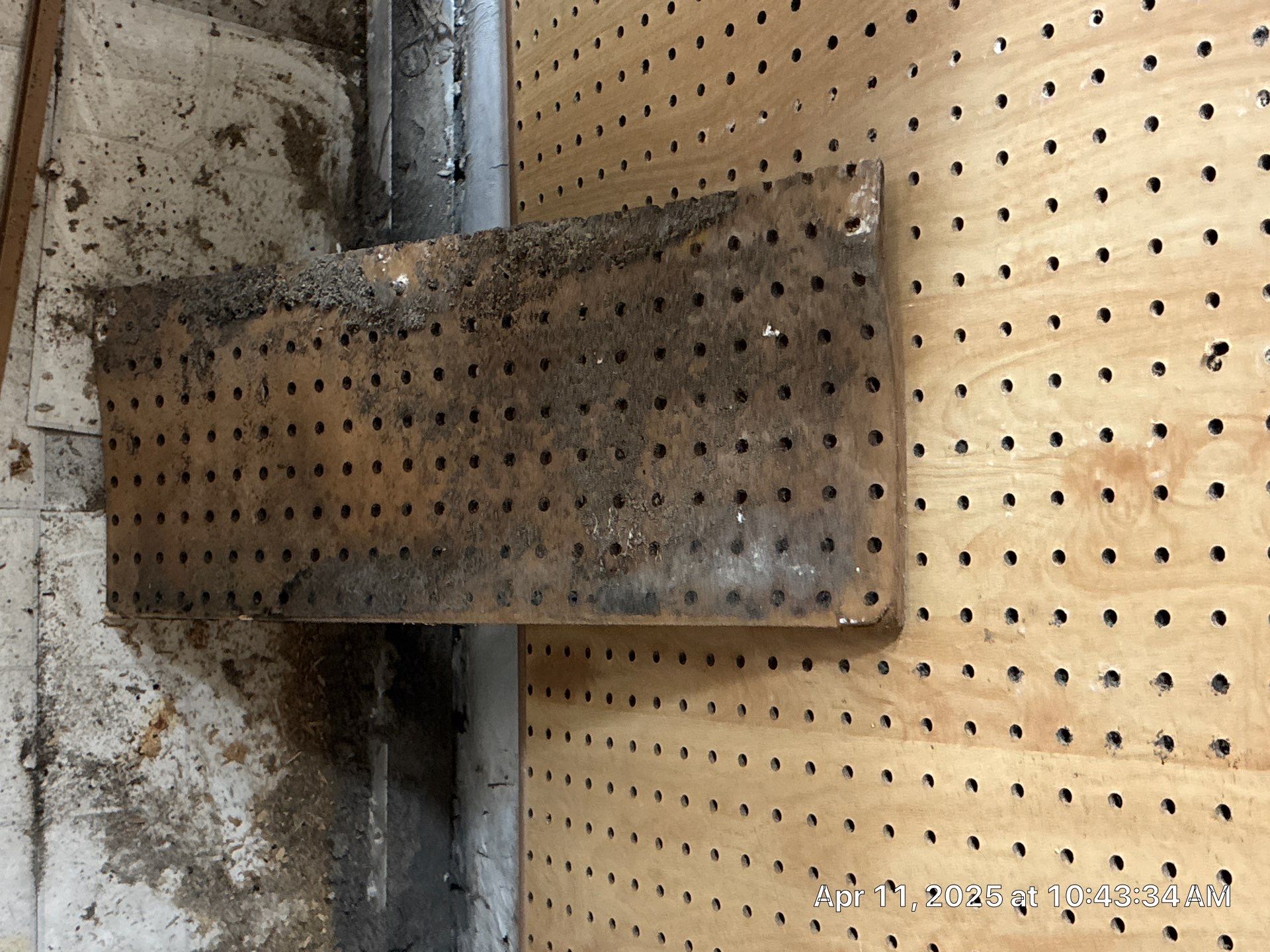 Mold Removal In Palmetto by Ampm Restoration Services