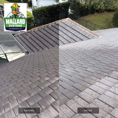 Flat Tile Roof Cleaning