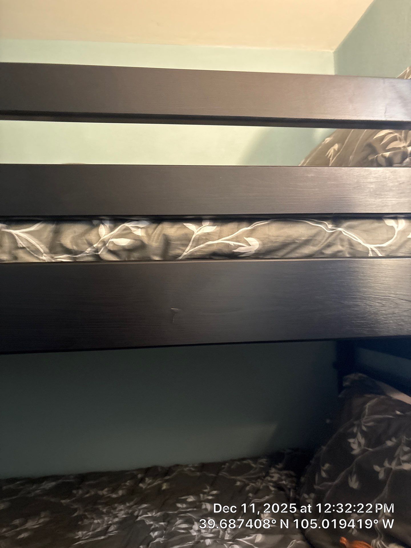 LA City Tree Work by CompanyCam Sales Demo