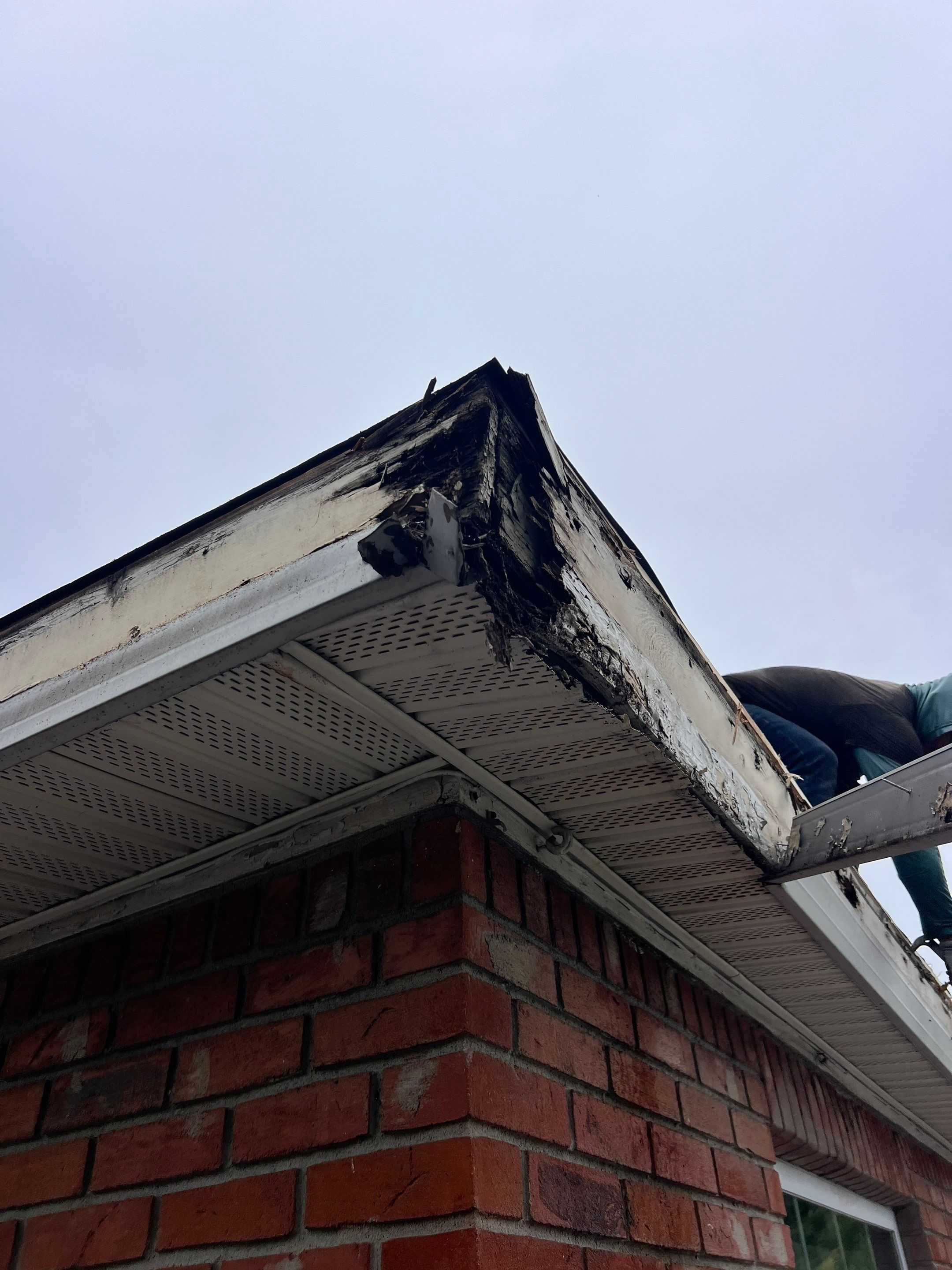 Project in St. Petersburg 33712 by Mitchell Roofing Company LLC 