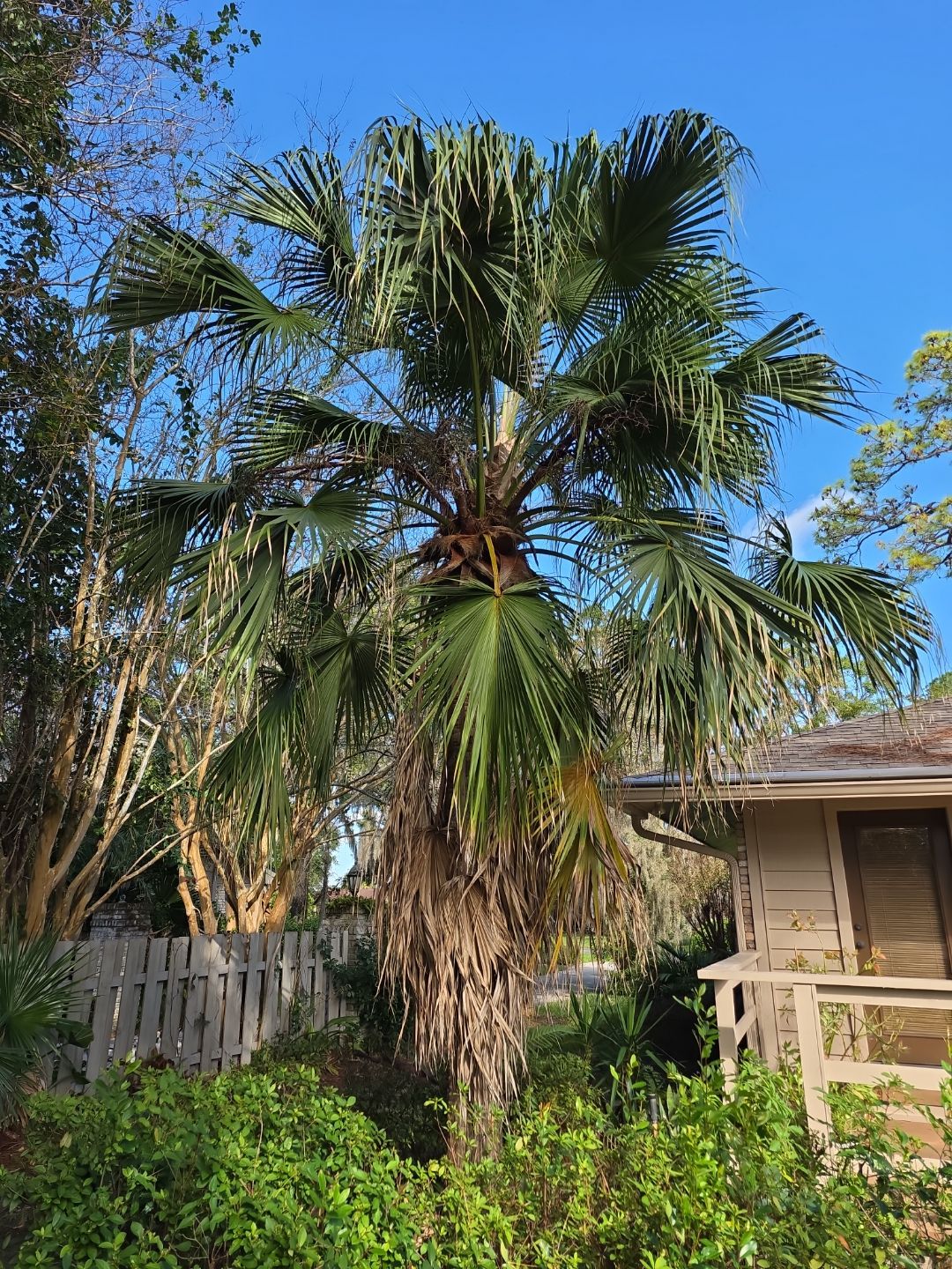 Deerwood Resident | Freshen Up Project by ProGreen Services