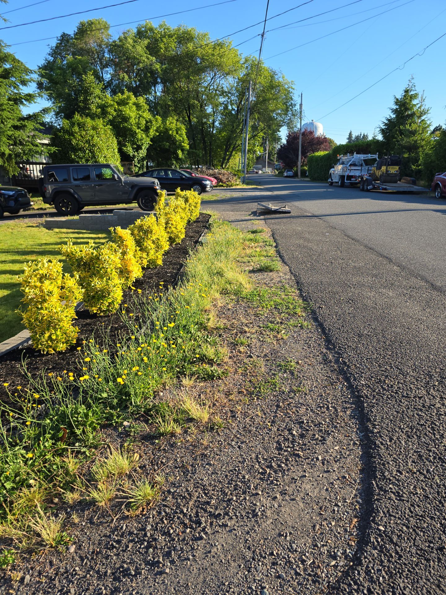 Tyler | Asphalt Road Repair by Jireh Asphalt & Concrete Inc 