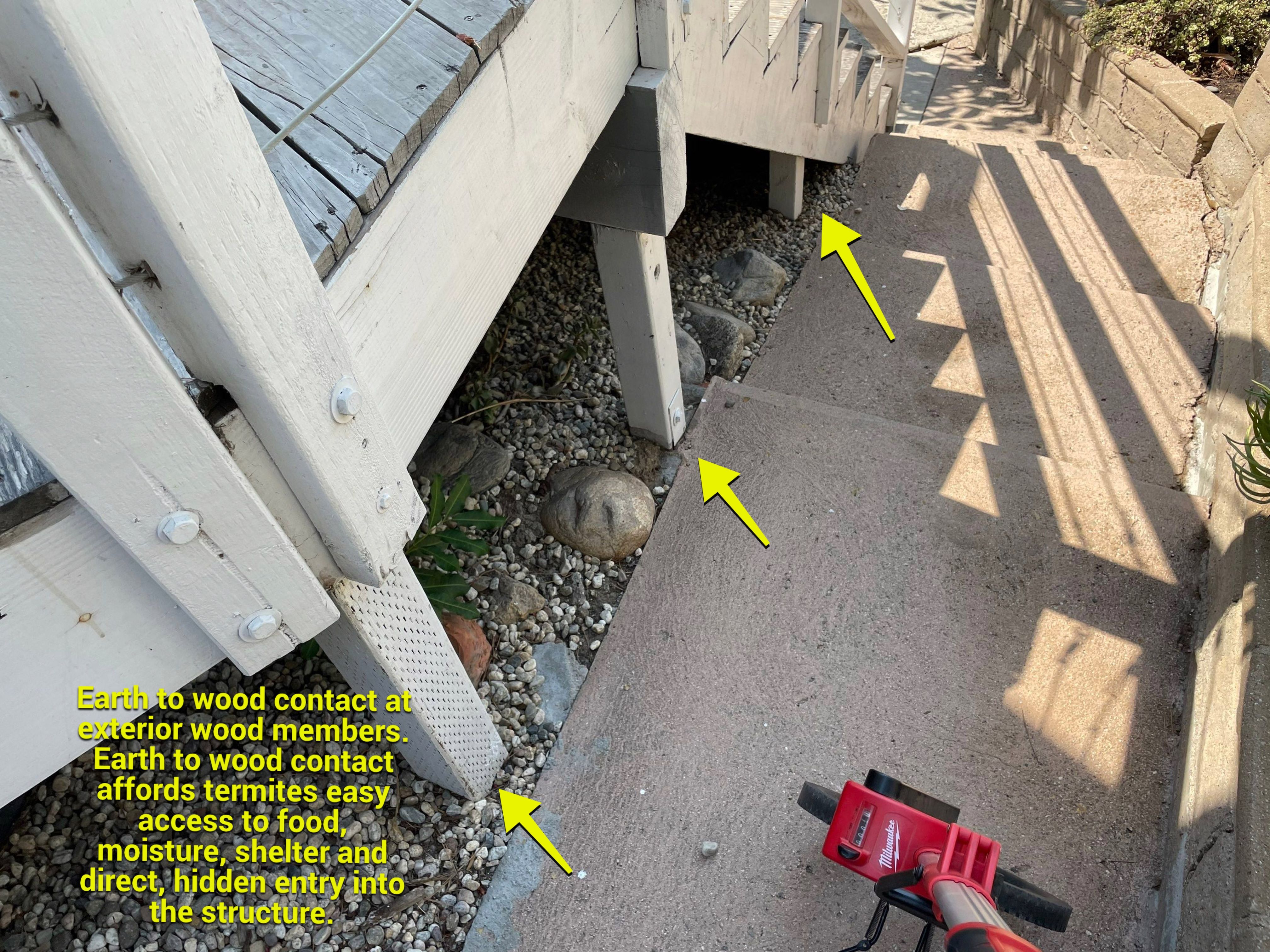 Wood Destroying Organisms Report by GLOBAL Termite Solutions