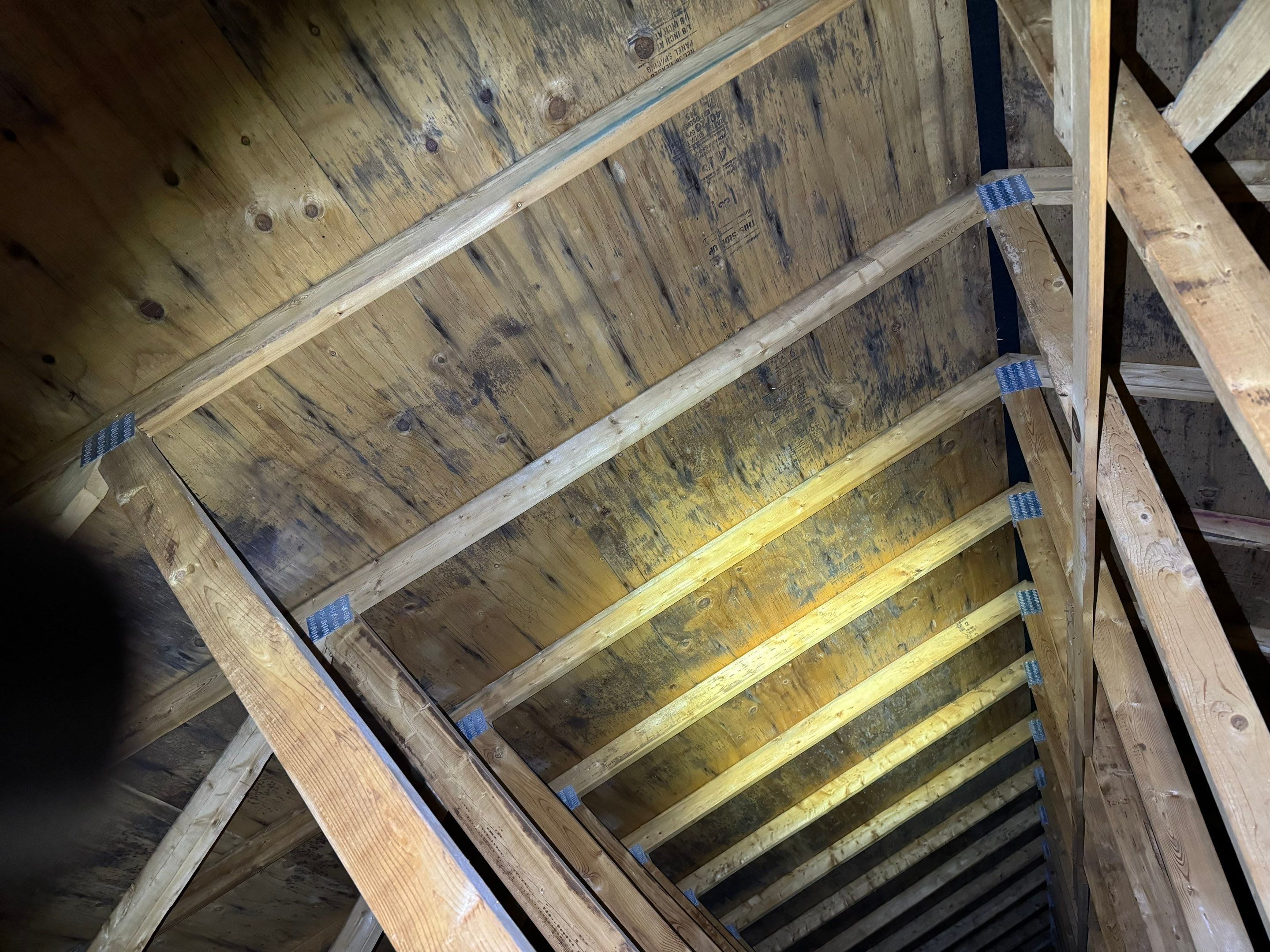 Dalton Attic by Home Guarantee, LLC