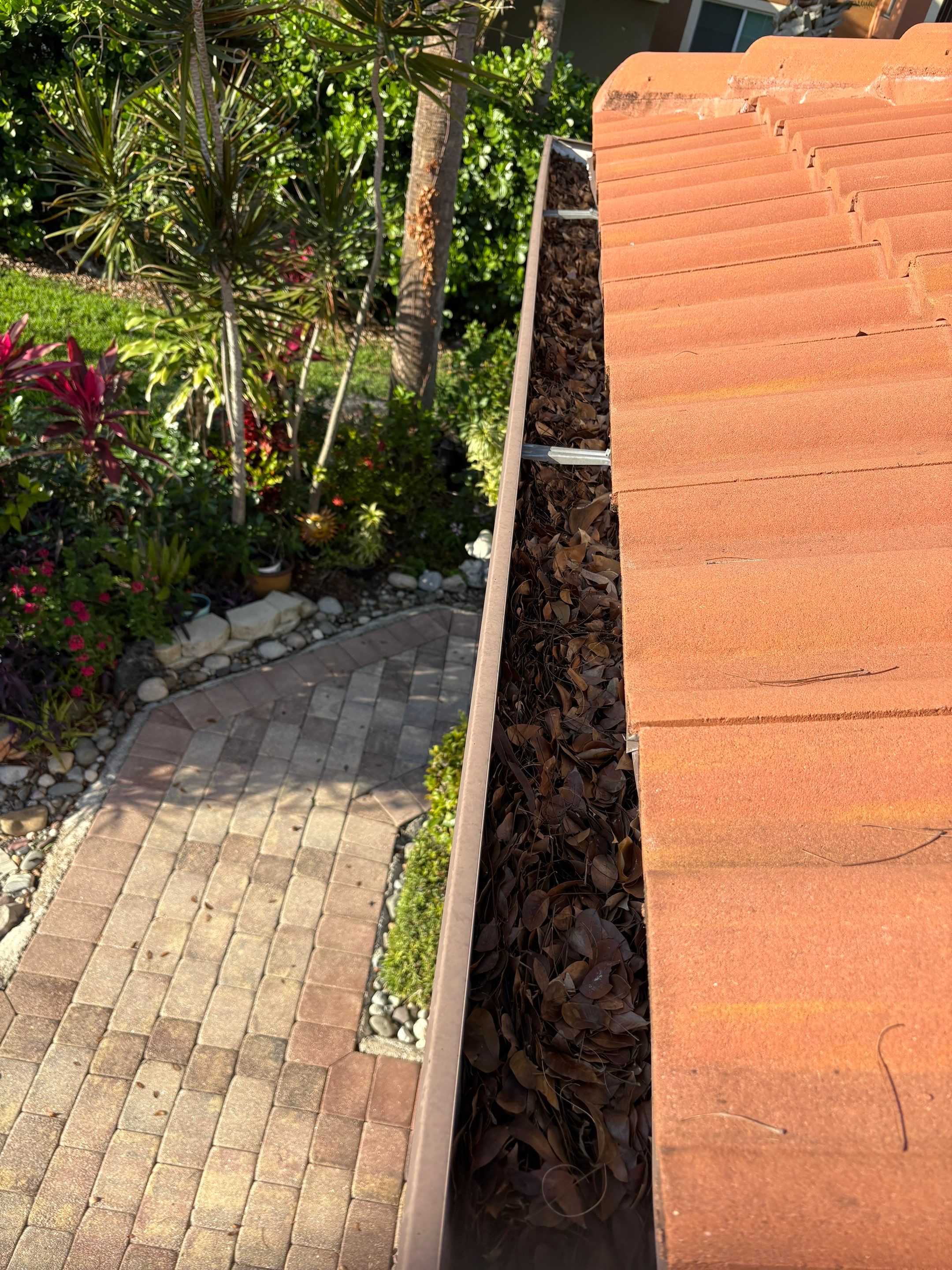 HOA gutter cleaning before photo