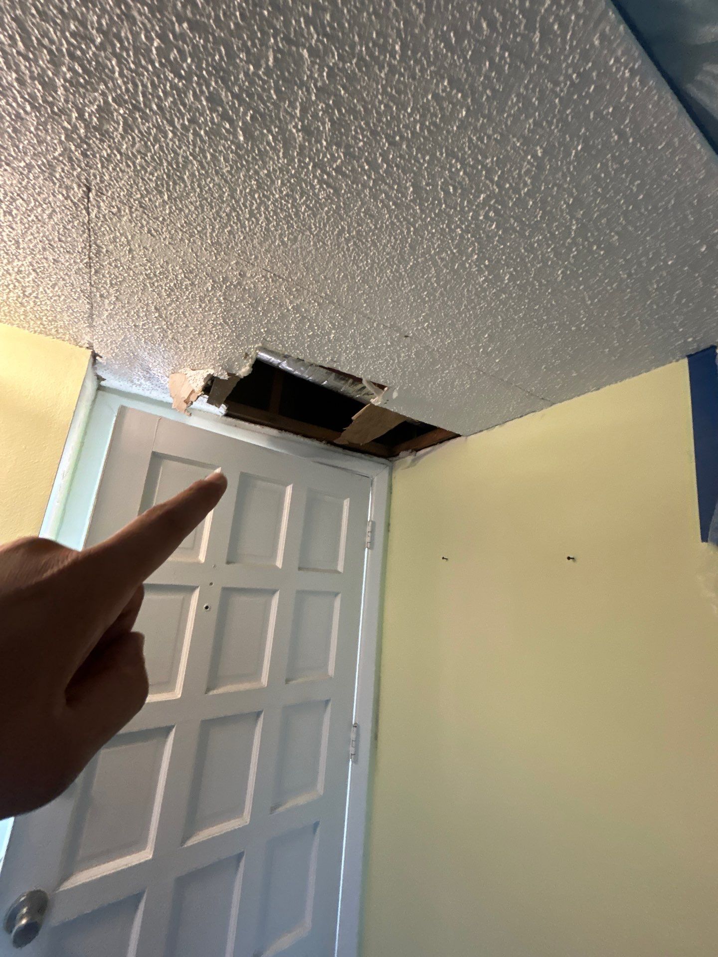 Pebble Springs Mold Remediation by Ampm Restoration Services