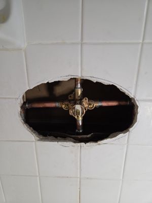 Shiny New Shower Valve