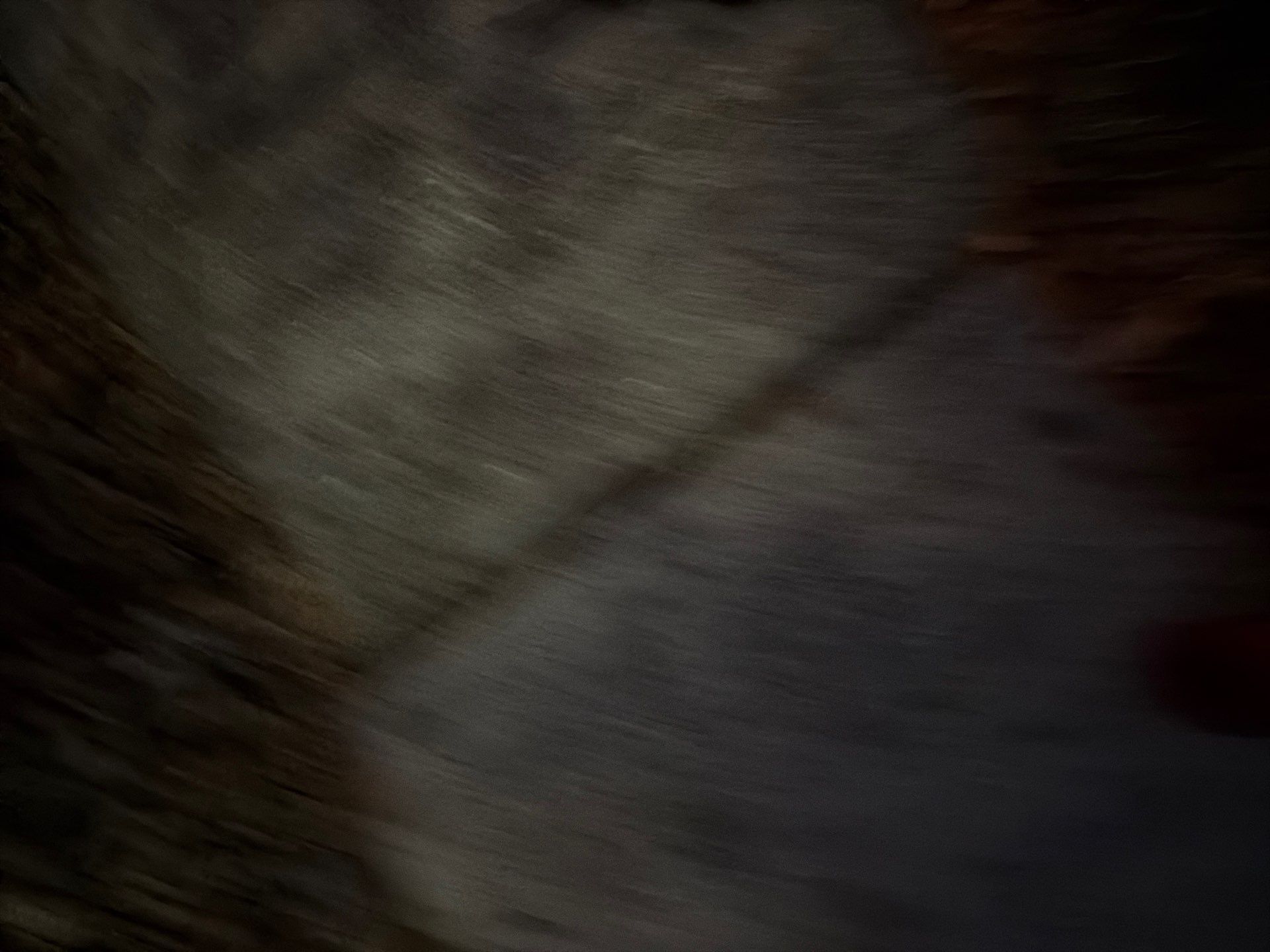 Panther Roof featured photo.