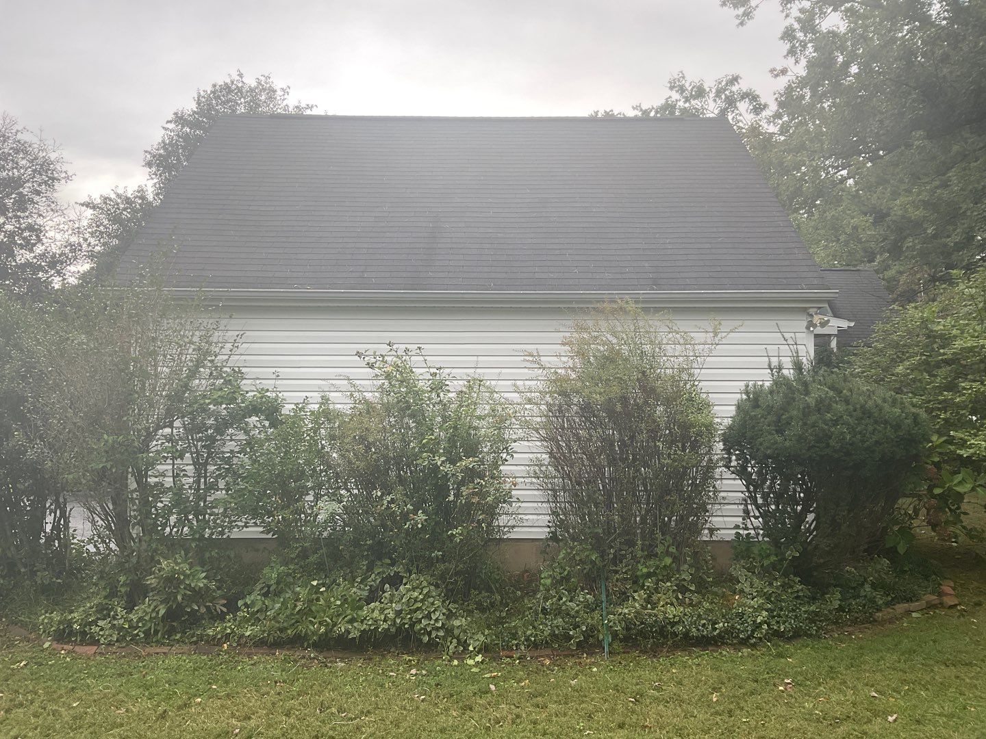 New Siding Installation  by Alpha Design Services
