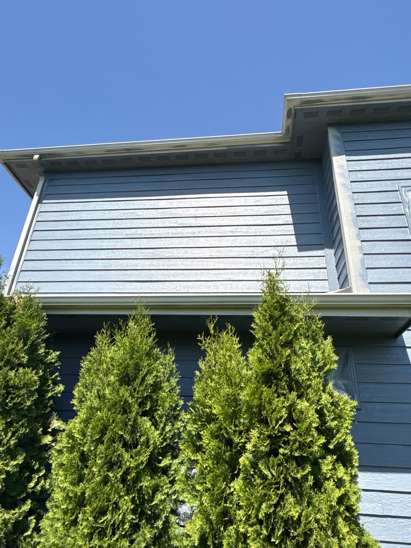 Residential Exterior Repaint by Midwest Paint LLC
