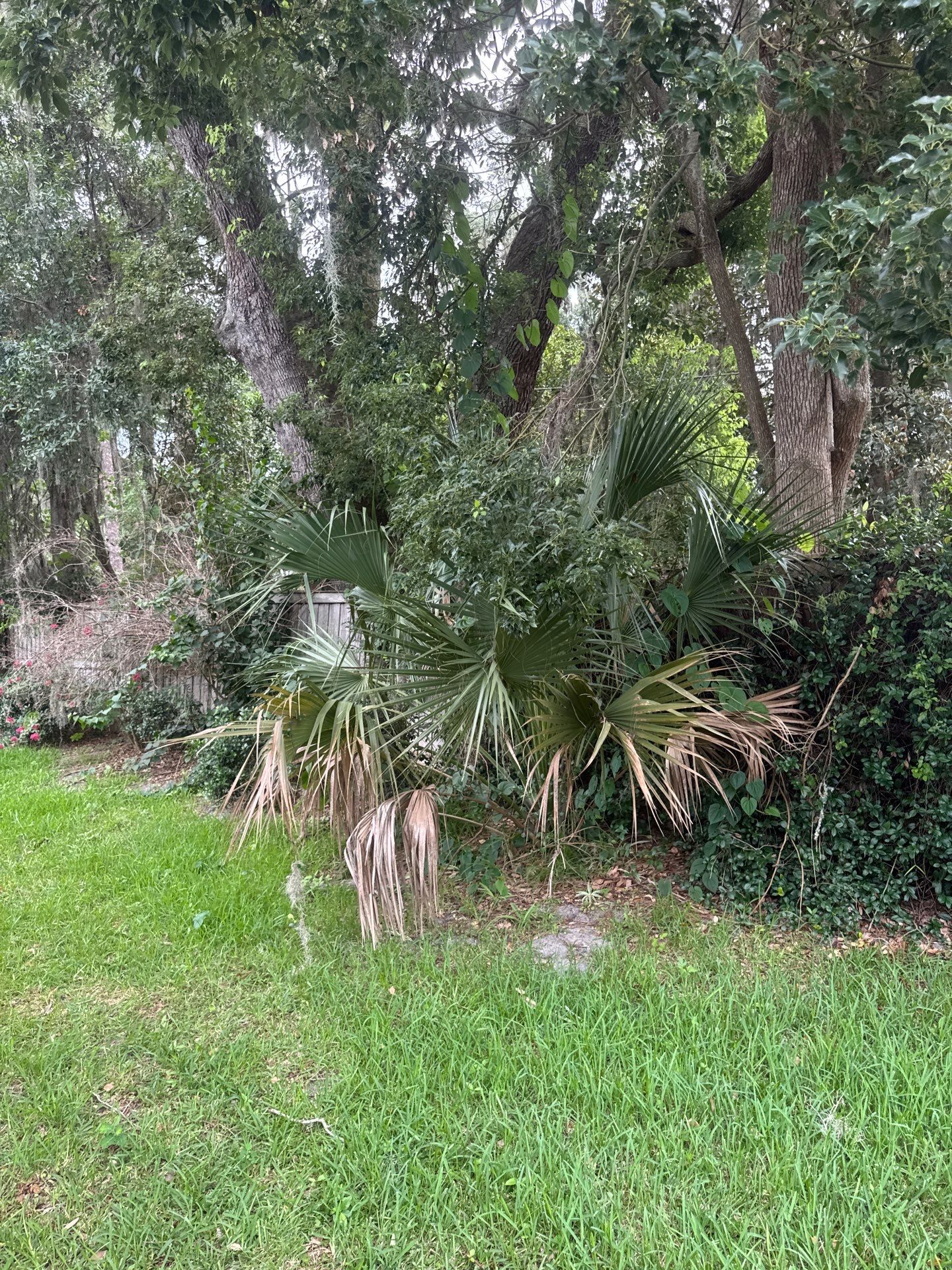 Residential | Clean-Up & Mulch Install by ProGreen Services