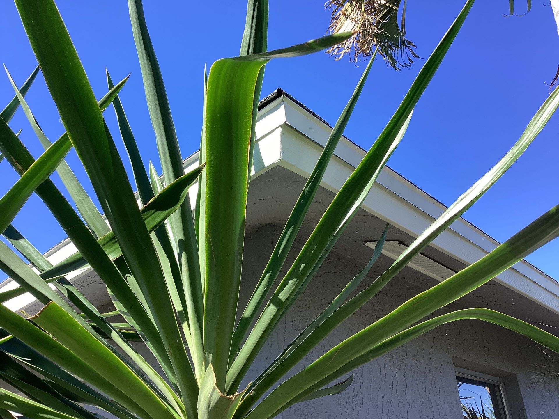 Gutter Repair and Cleaning in Cape Coral FL by Gutter Professors