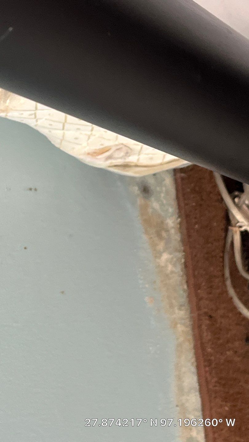OH No, OYO! by Bayfront Roofing and Construction