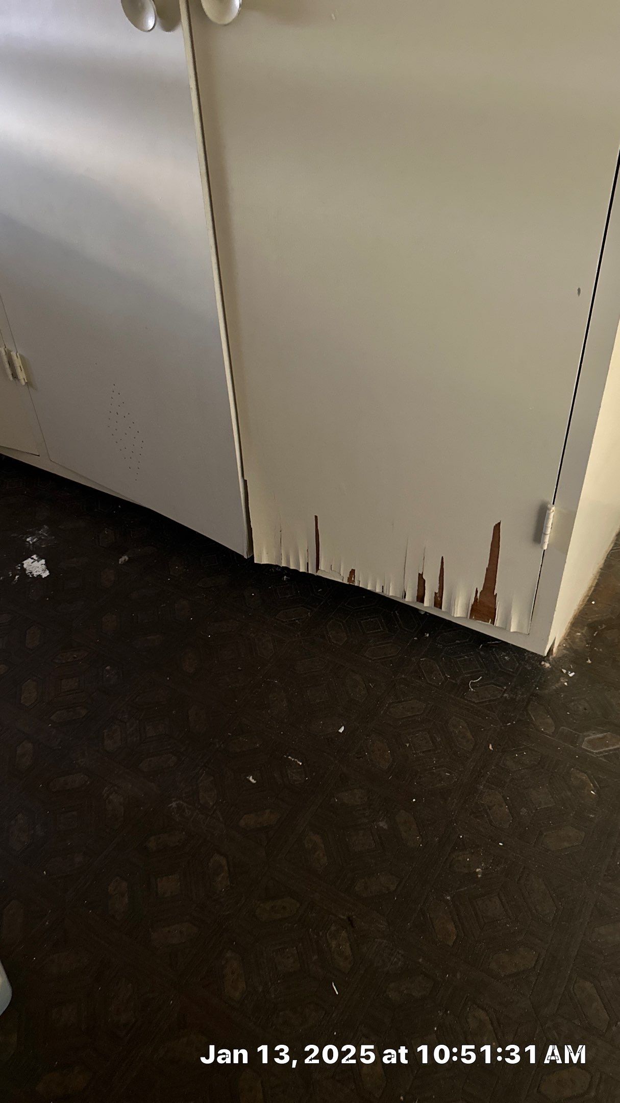 Mold Assessment using IR Camera, Moisture Meter, Air Cassette samples and Tape lifts by Building performance Solutions LLC