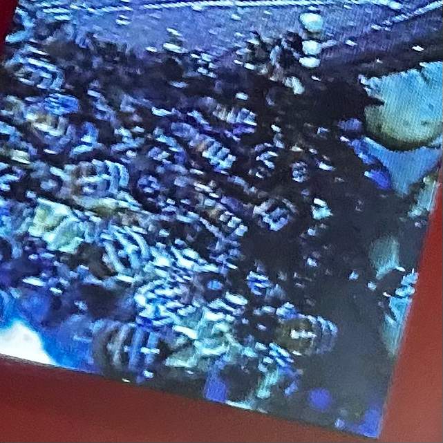 Bees Underfoot by Rockwall Honey Bee Company