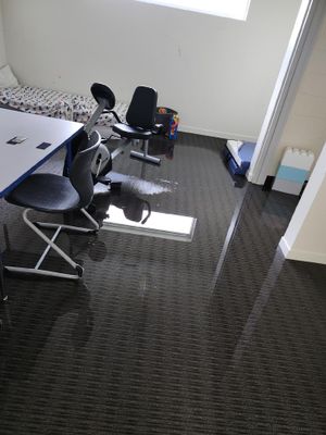 Project in Berkley