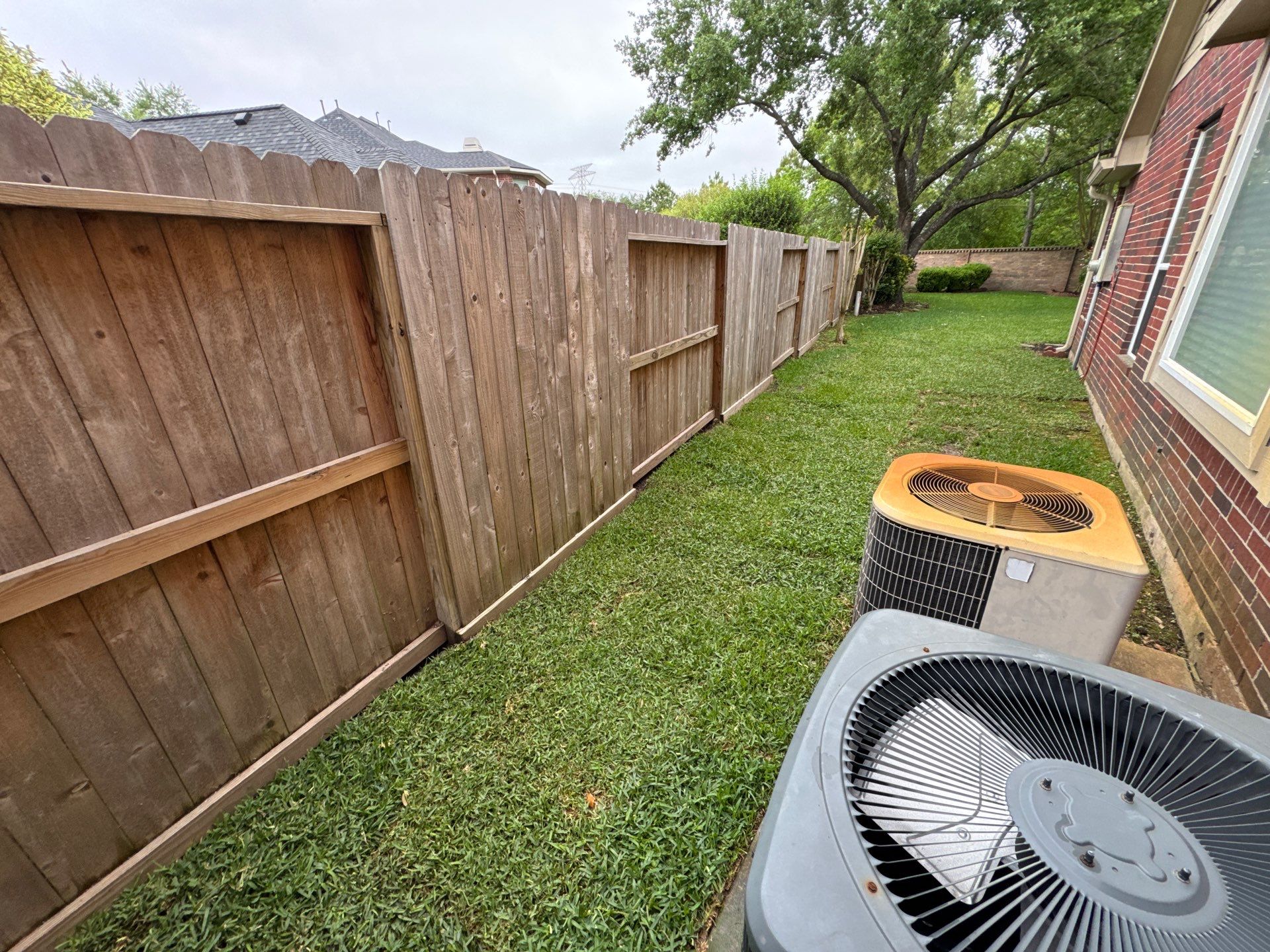 🌿 Mrs. Coleman’s Lawn & Drainage Restoration by Texas Urban Elements