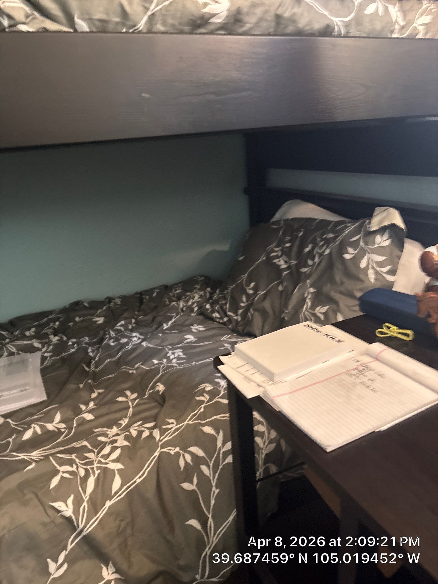 Multi-Functional Bedroom and Home Office Renovation in Denver by CompanyCam Sales Demo