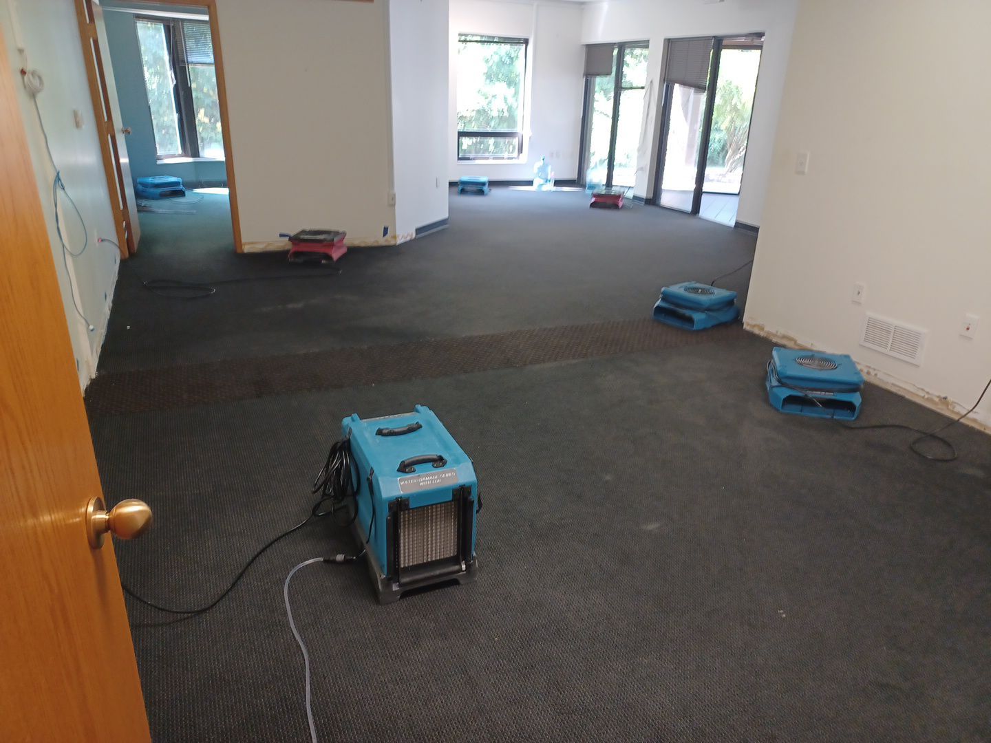 Project in Ann Arbor by EzDry Water Mitigation & Property Restoration