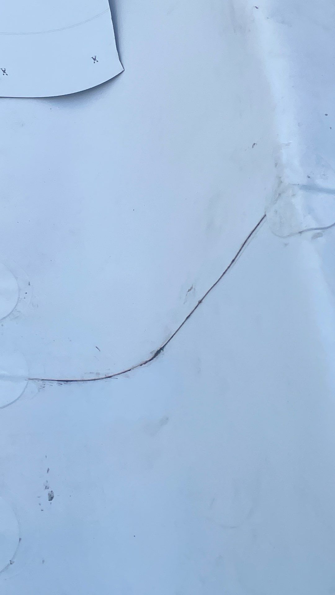 Problems in Paradise  by Bayfront Roofing and Construction