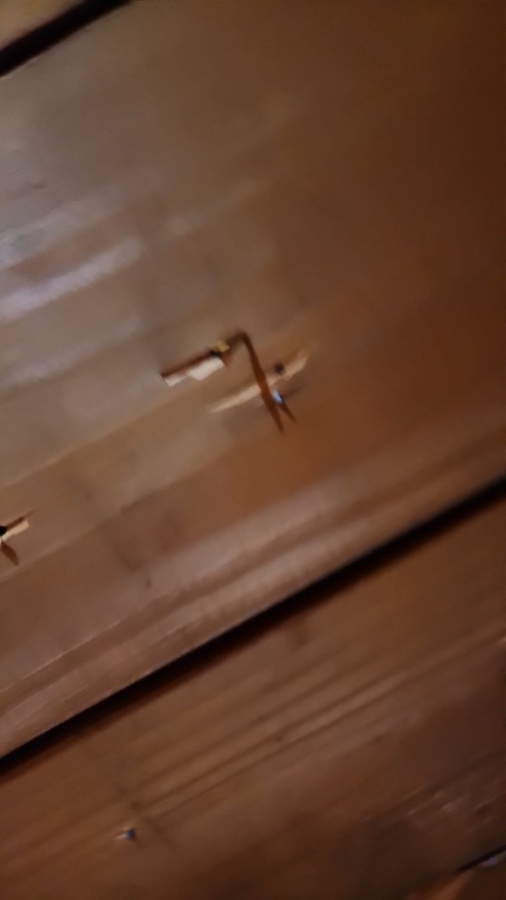 Wind-Resistant Metal Slate Roof Installation in Ossian, Indiana by 4Ever Metal Roofing