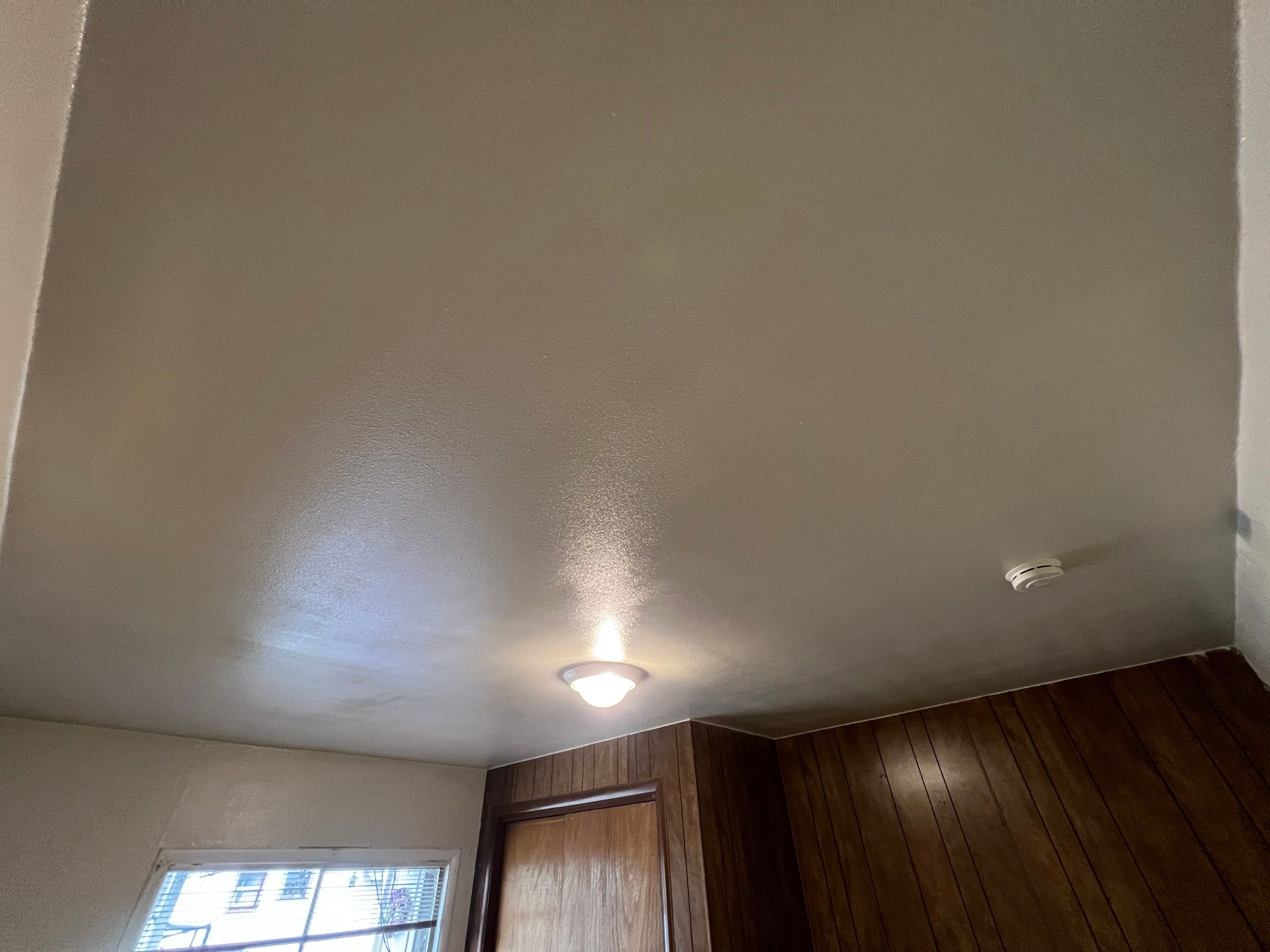Ceiling Repairs / Painting by Handyman State LLC