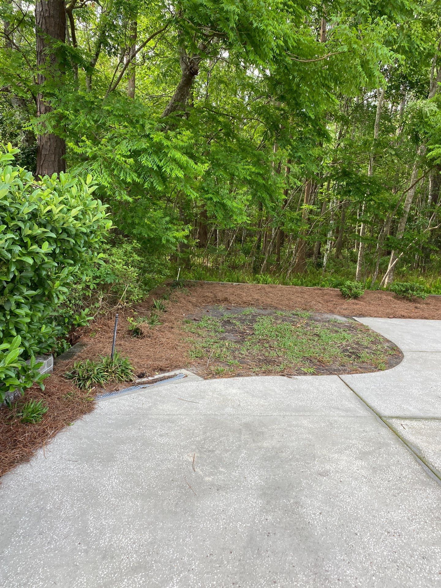 Deerwood Resident | Pine Straw Installation by ProGreen Services
