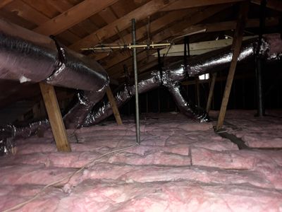 Project in Los Angeles