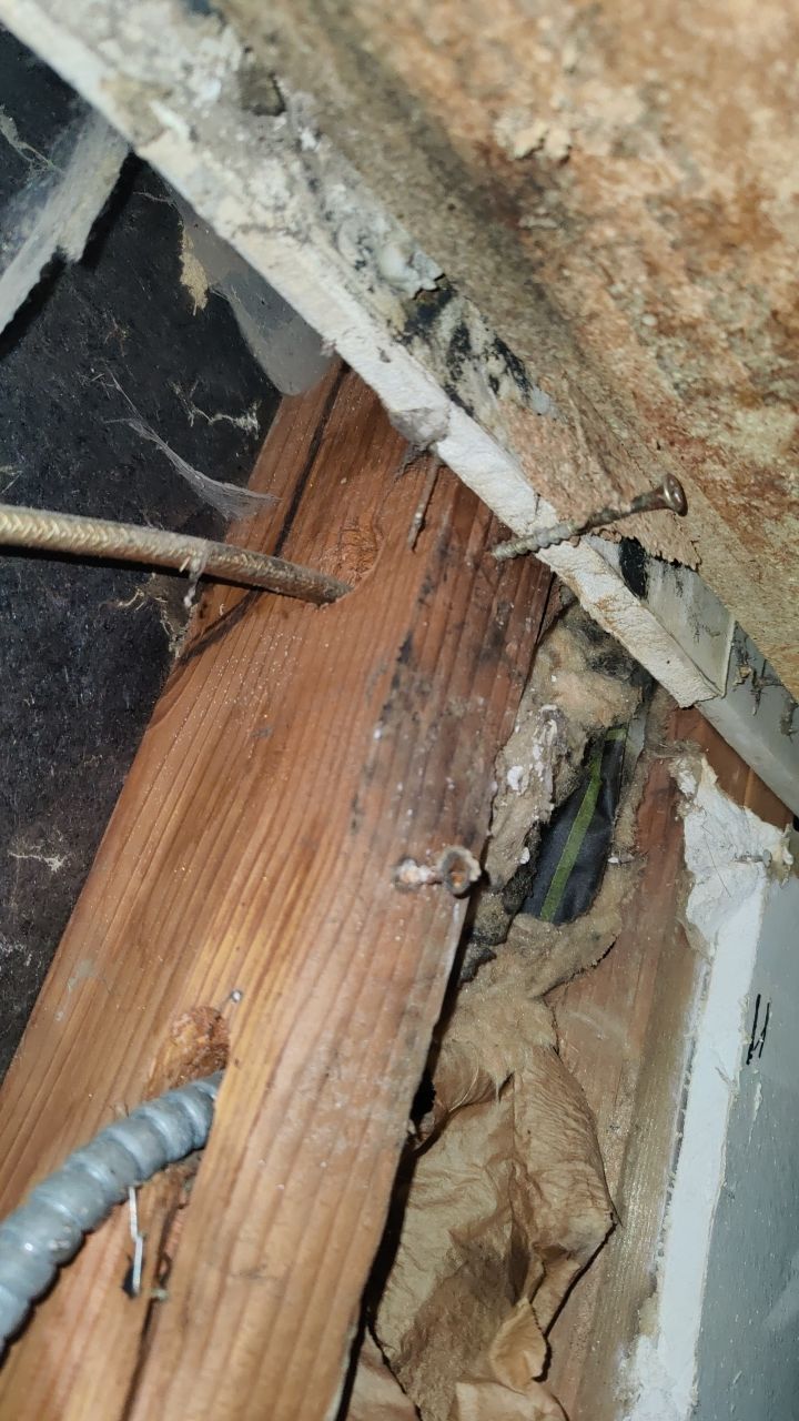 Mold Damage by Accountable Home Services