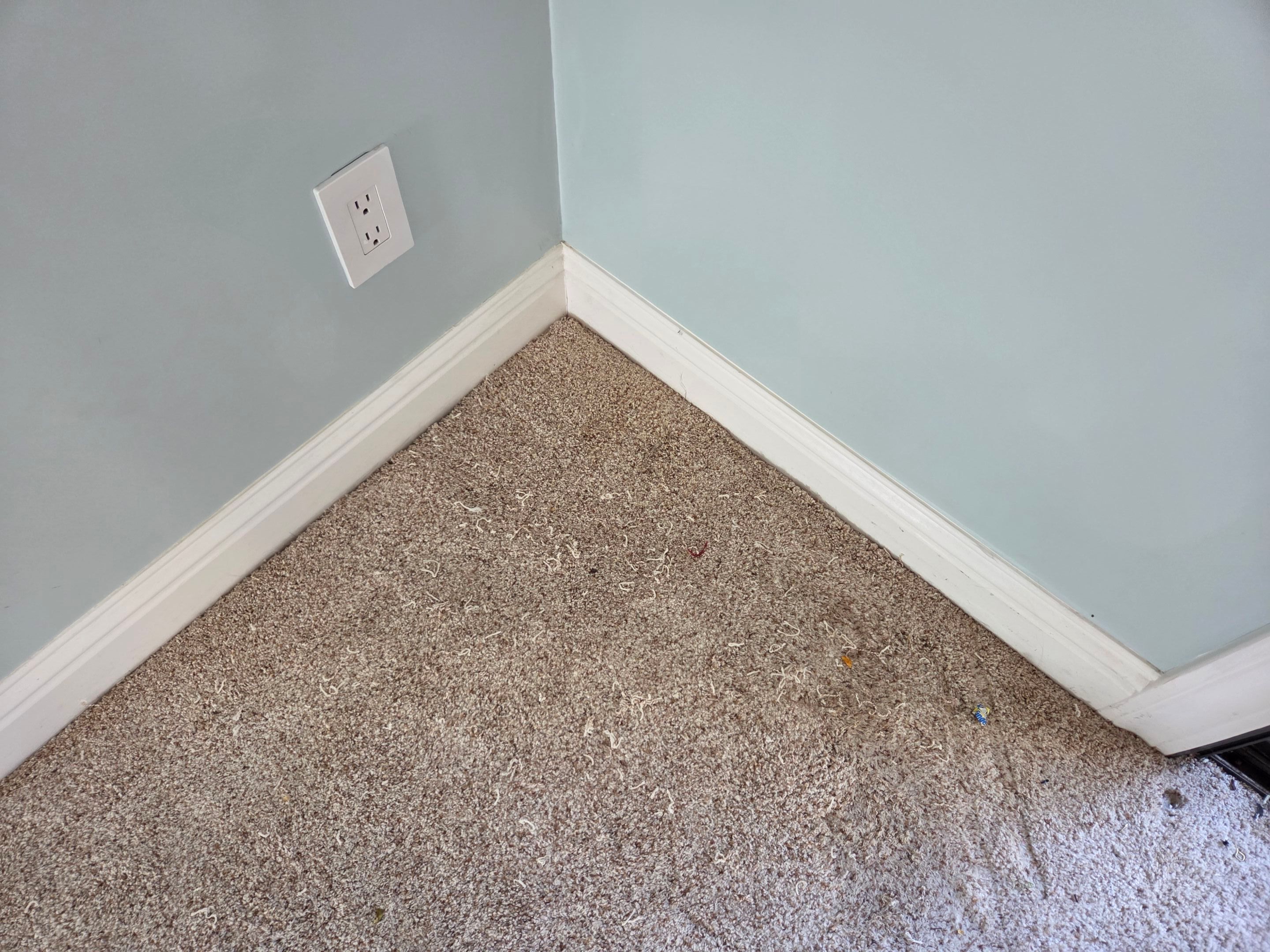 Carpet Repair in Shingle Springs by Ardent Carpet Restore LLC