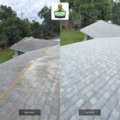 Residential Shingle Roof Cleaning and Exterior Refresh in Maitland