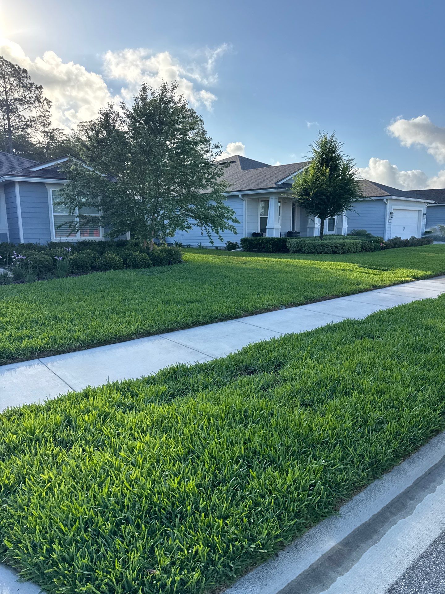 Residential | Topsoil Install & Tree Trimming by ProGreen Services