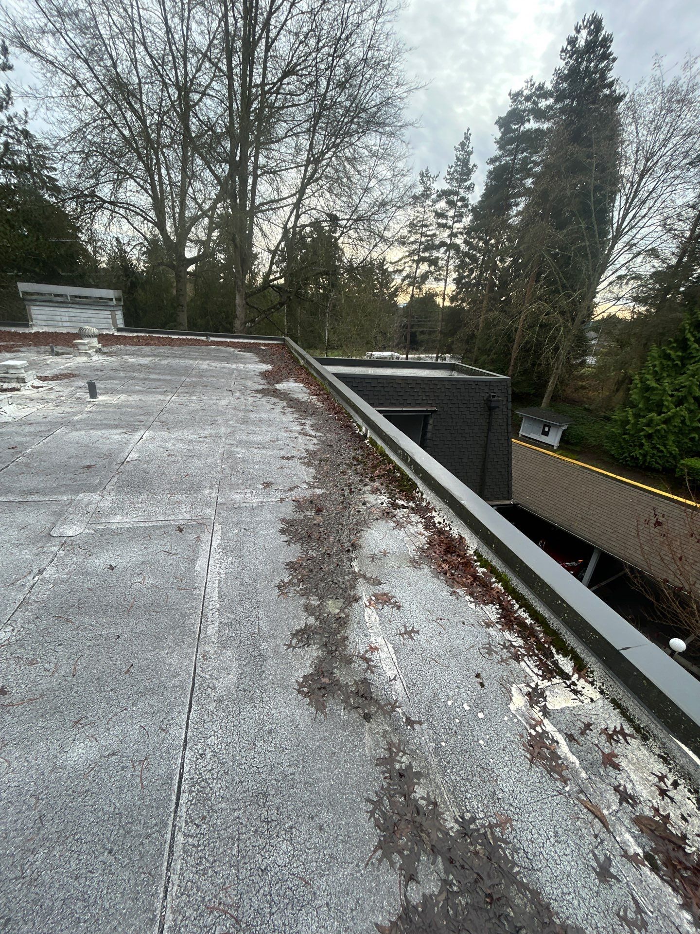 Project in Kirkland by Peaks and Valleys Construction