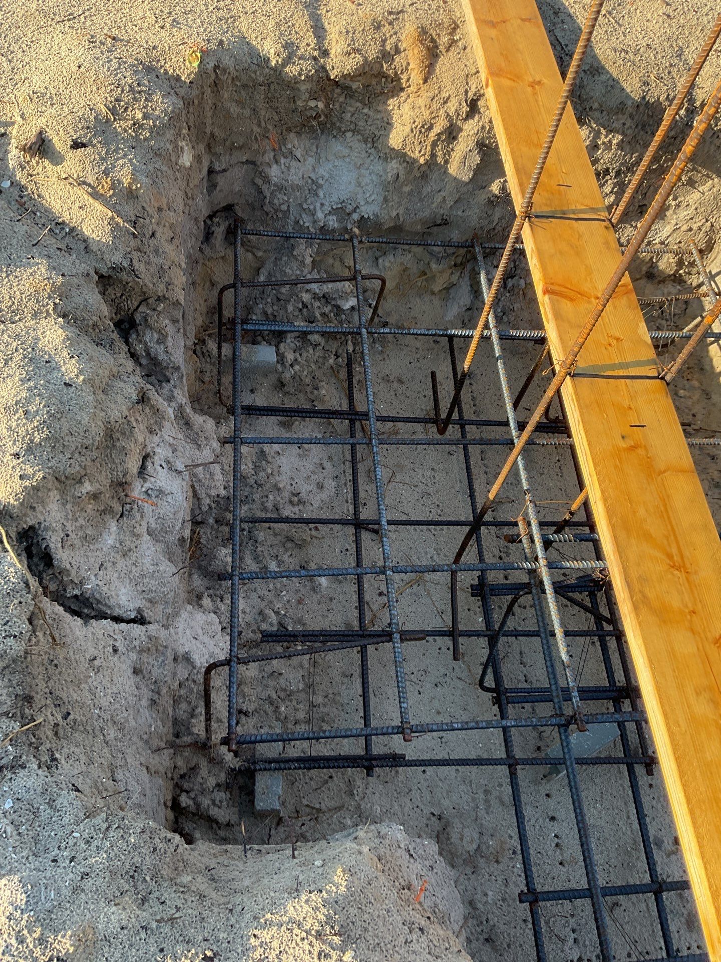 TRACTOR SUPPLY NAPLES by Southern Gulf Construction