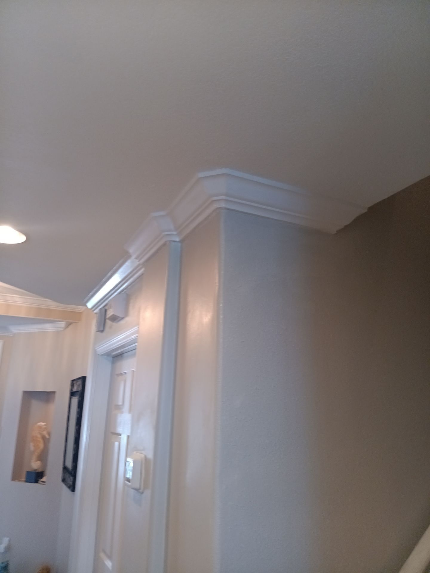 Water And Mold Restoration by Ampm Restoration Services