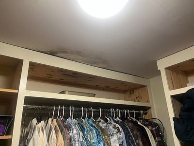 Mold Remediation and Repairs in Louisville, KY