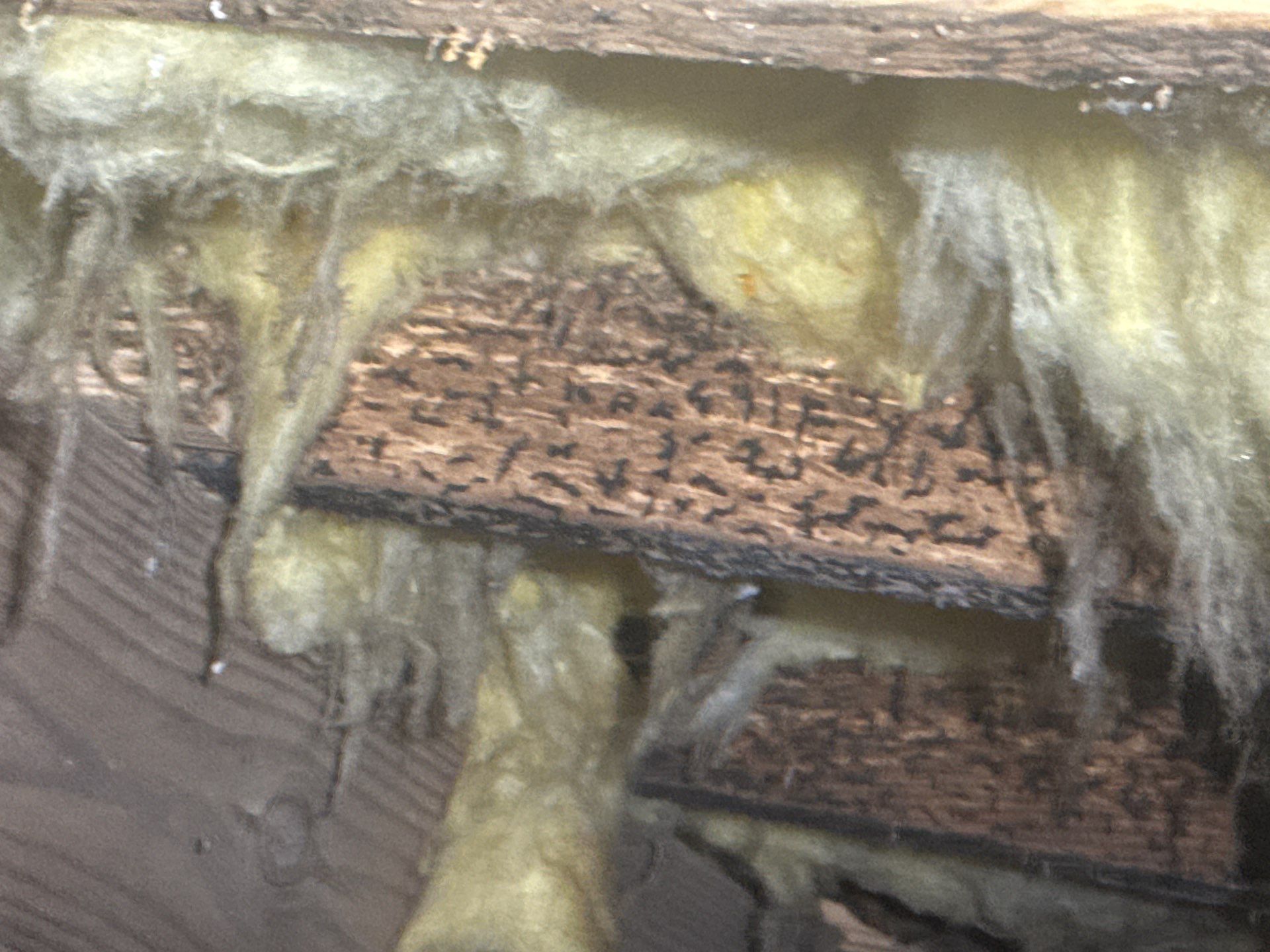 Project in Suffolk by Patriot Crawl Space Repairs