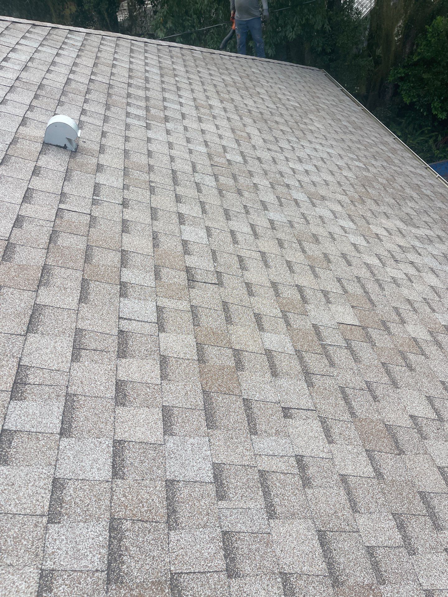 Shingle Reroof Replacement Deltona FL by Pinnacle Roofing Group