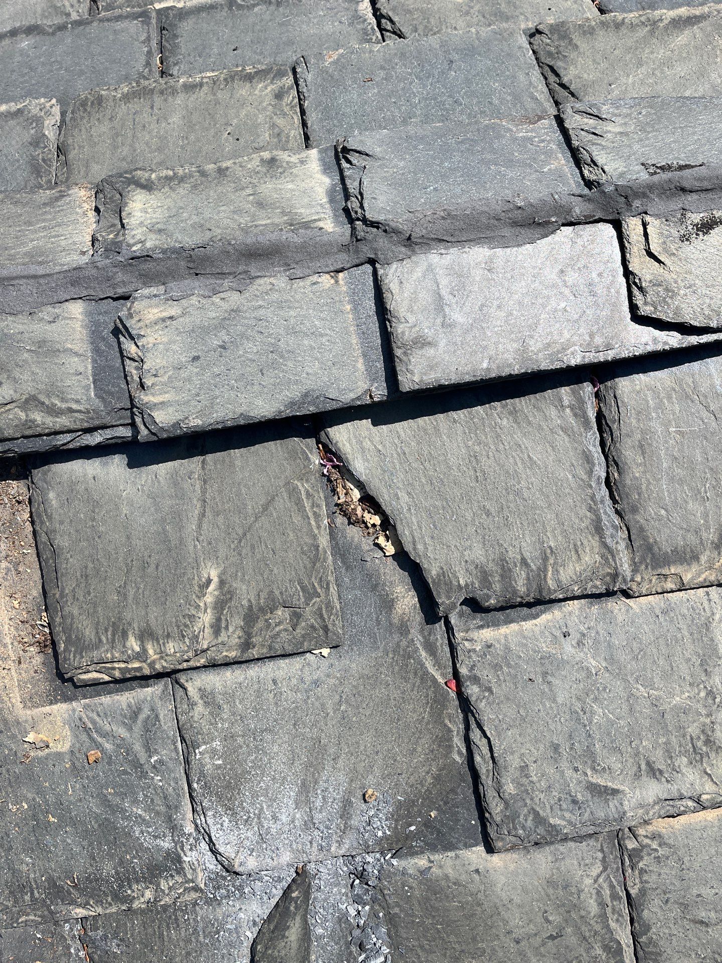 Arlington: Buckingham Slate and Carlisle Syntec TPO Roof by RM Banning, Inc.